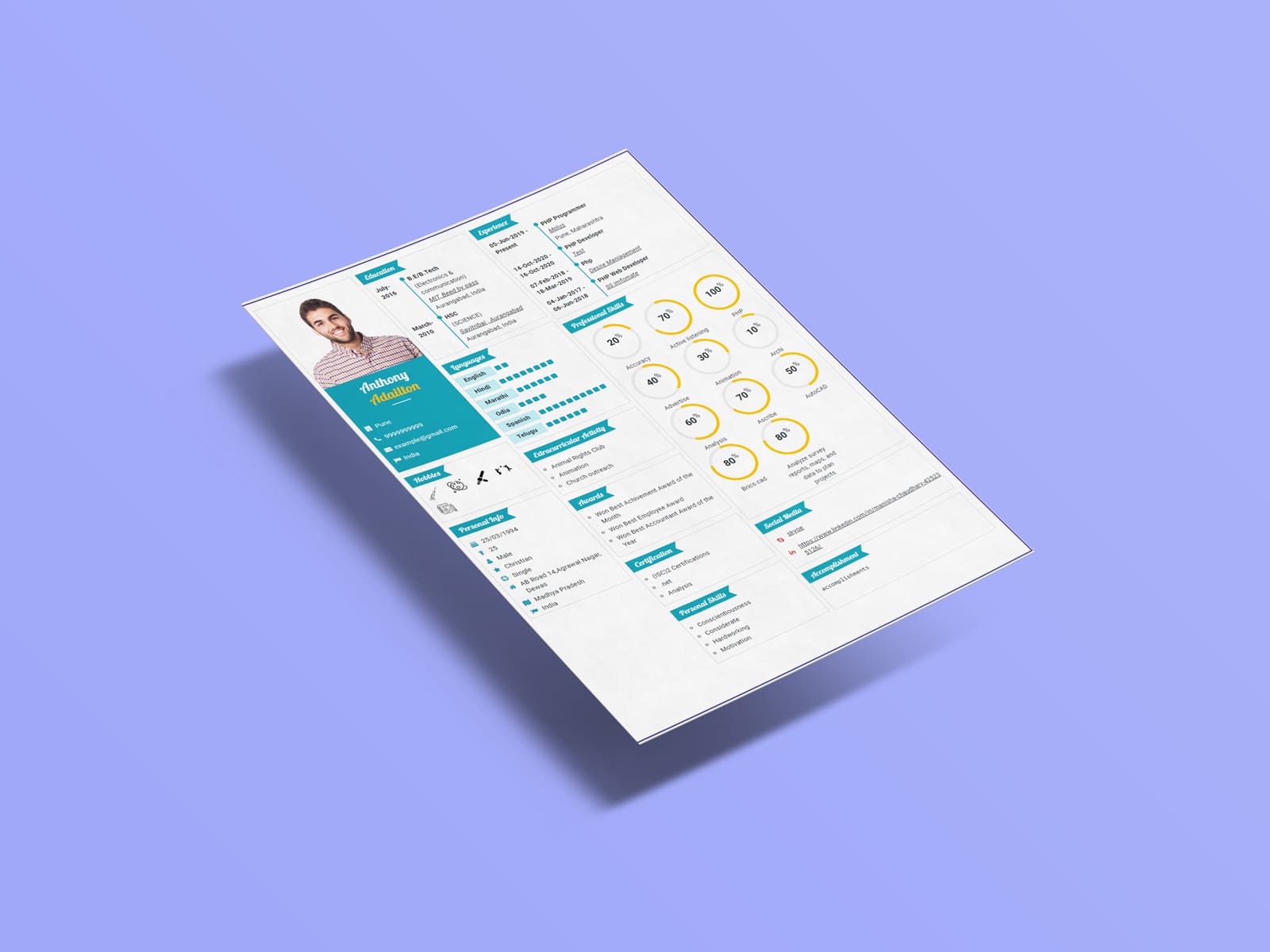 Create Your Infographics Resume