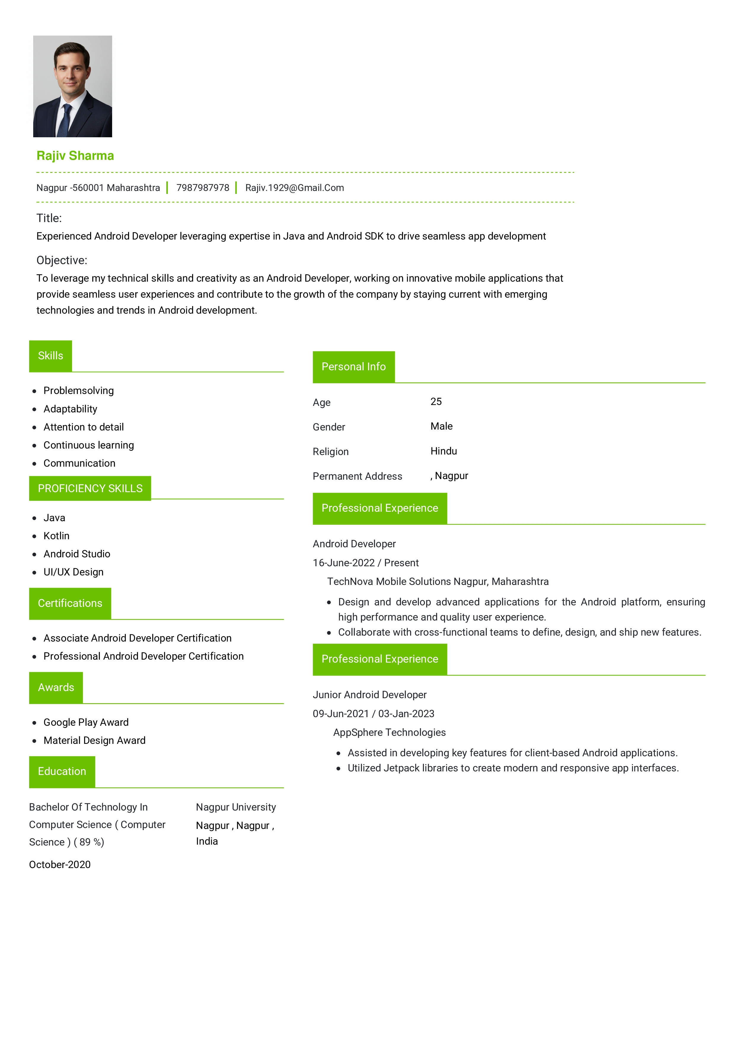 IRS Tax Examiner Resume Example