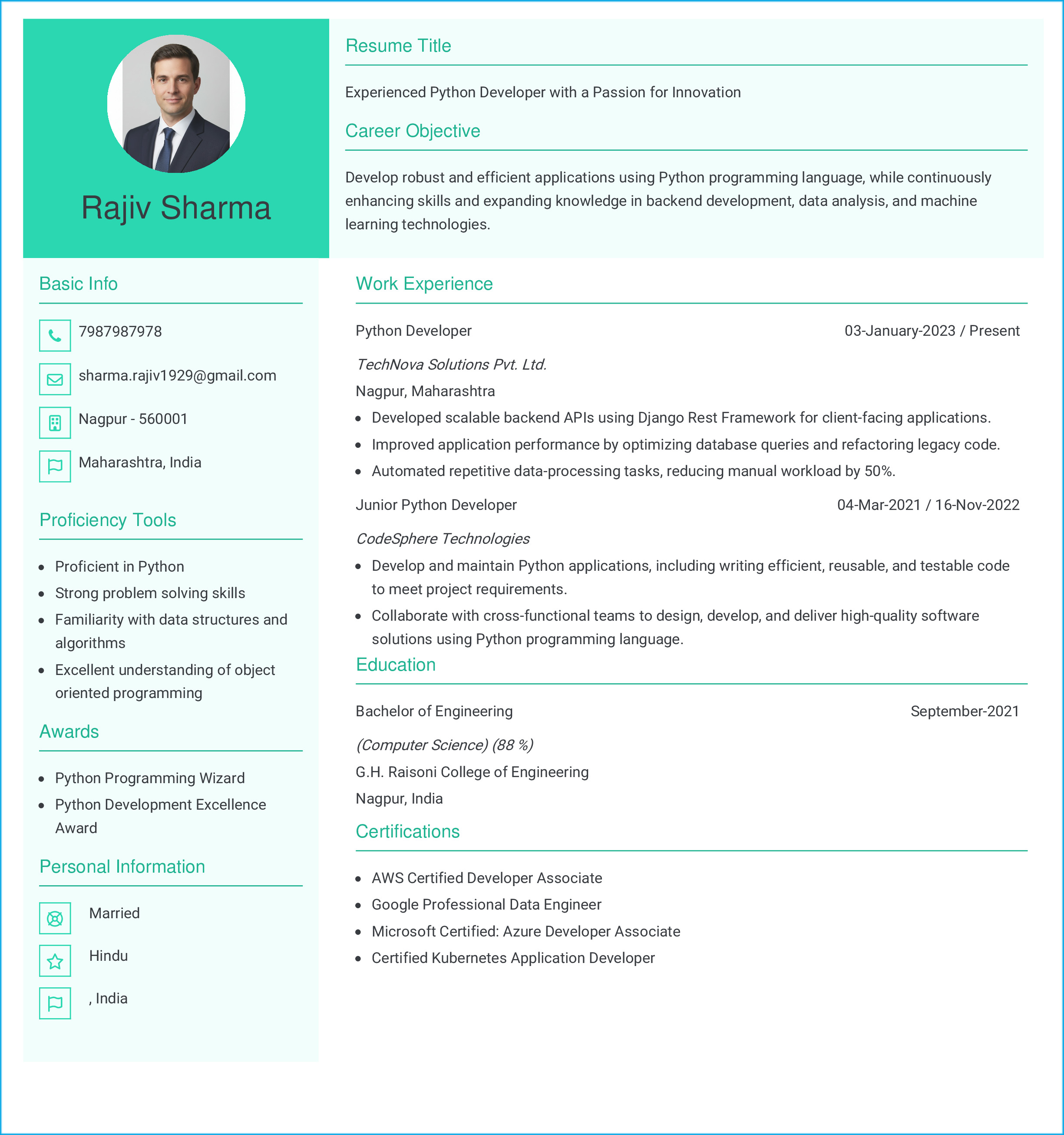 IRS Tax Examiner Resume Example