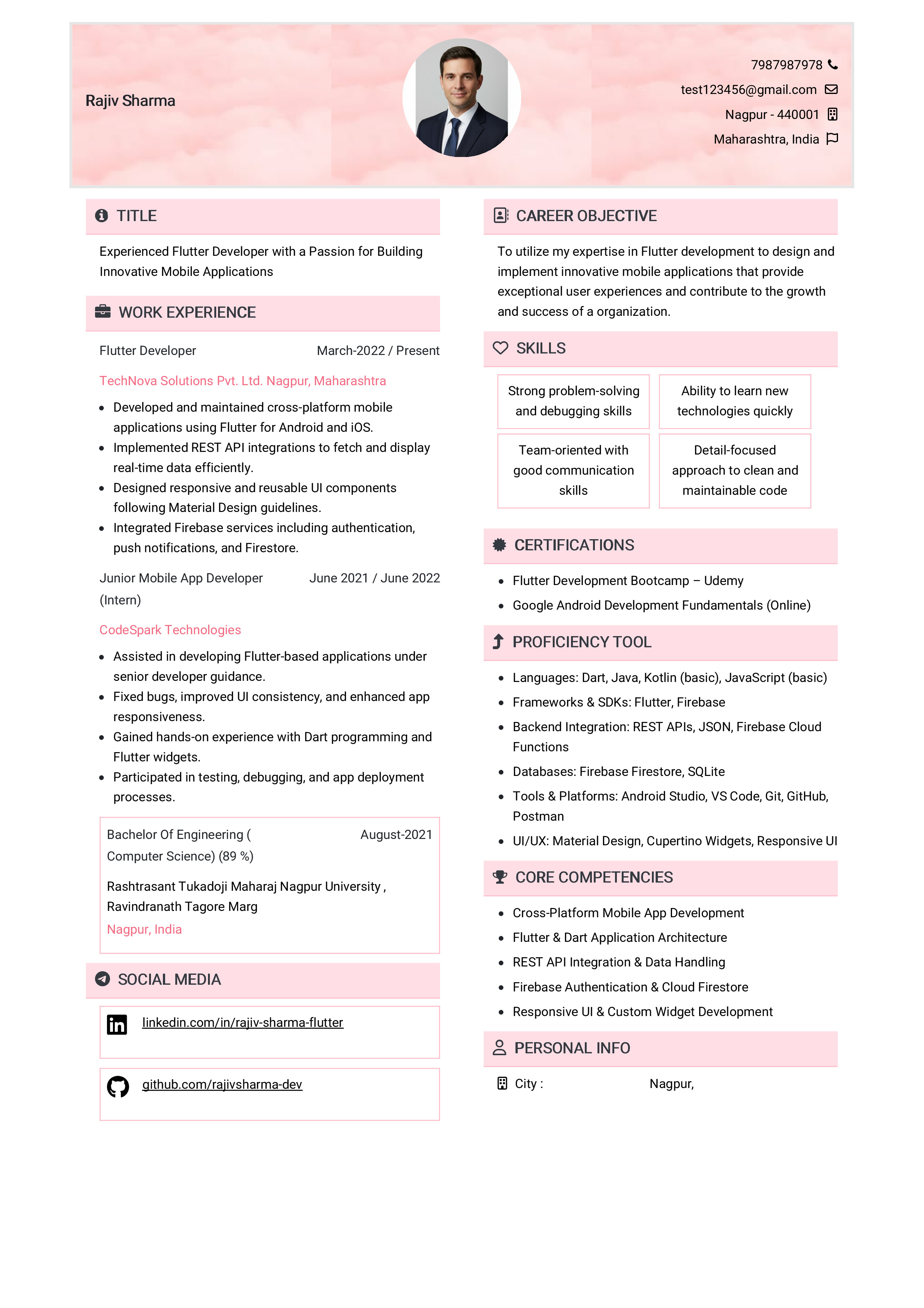 IRS Tax Examiner Resume Example