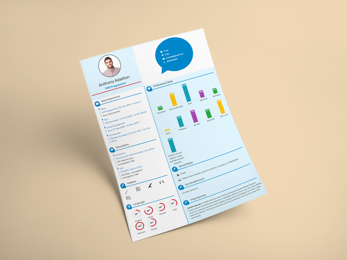 Create Your Infographics Resume