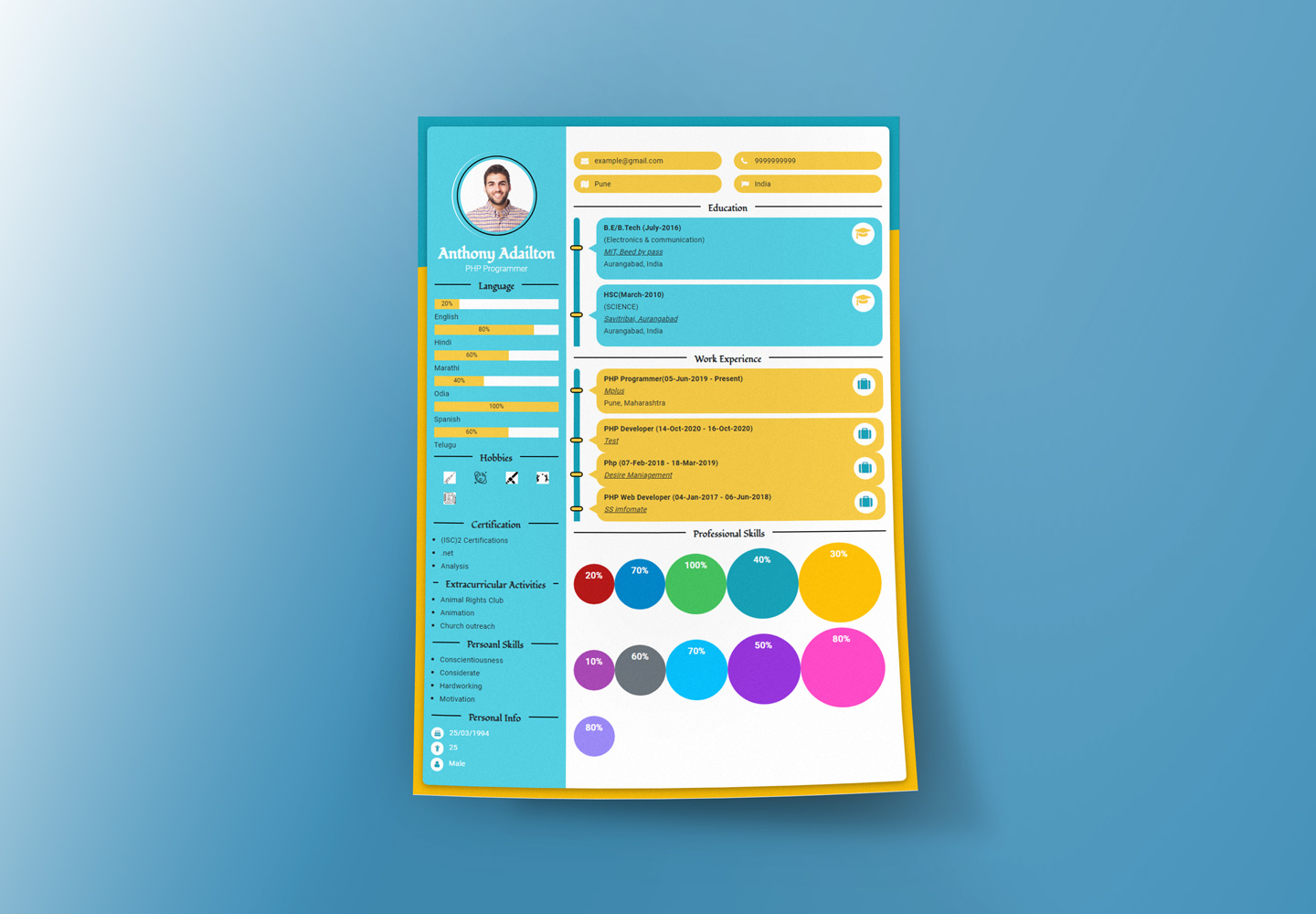 Create Your Infographics Resume